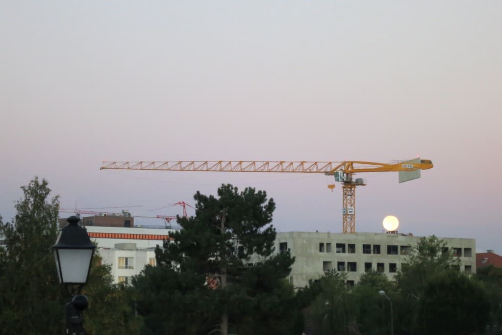 Une grue qui pond un œuf