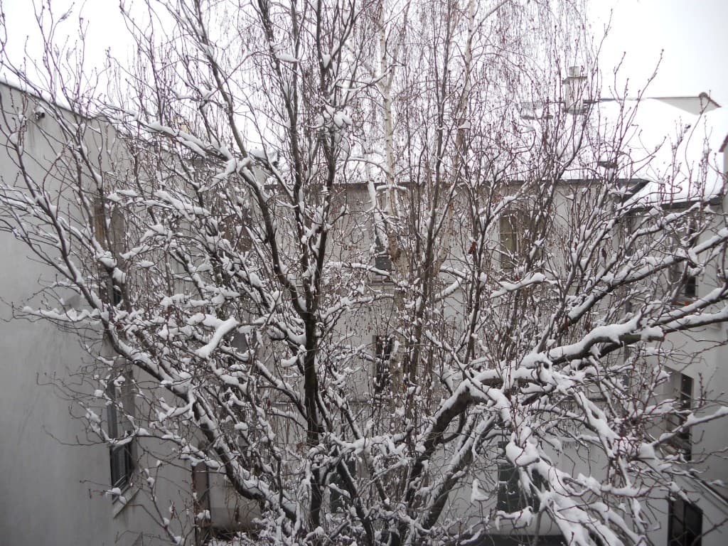 19 janvier 2013 à 10h30
