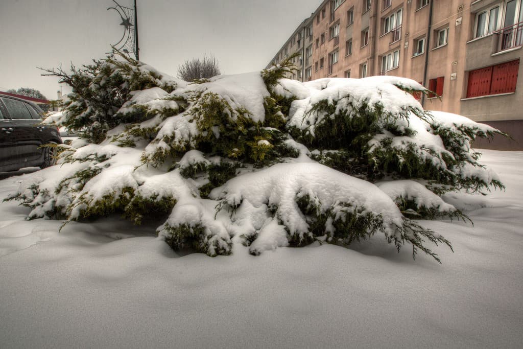 20.01.2013_10H_Villejuif_05