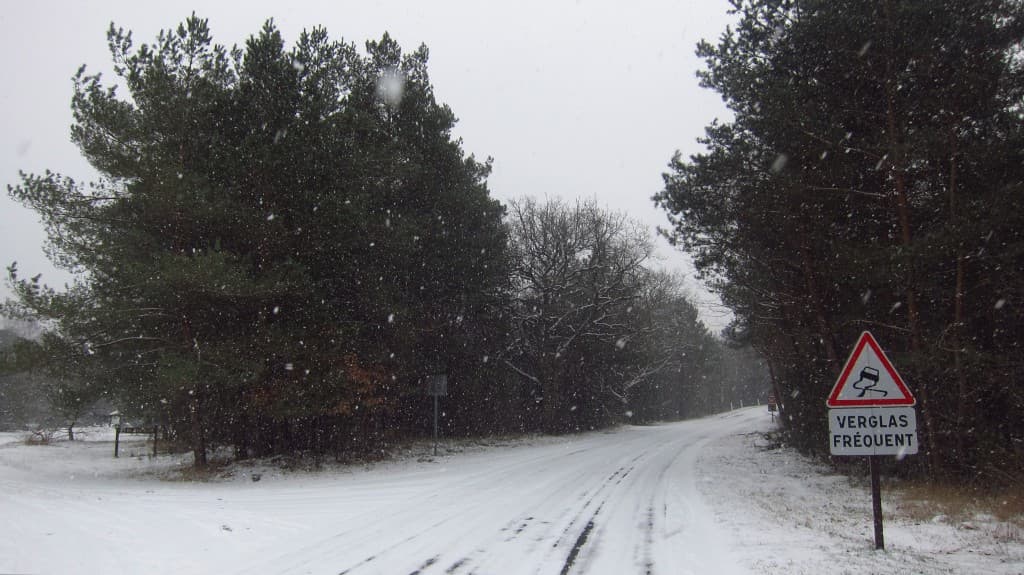 4cm de neige en forêt de Fontainebleau