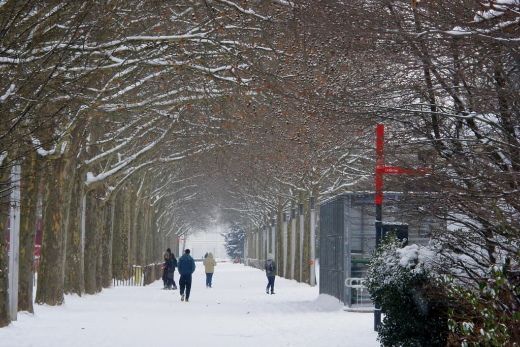 allée enneigée du parc de la villette