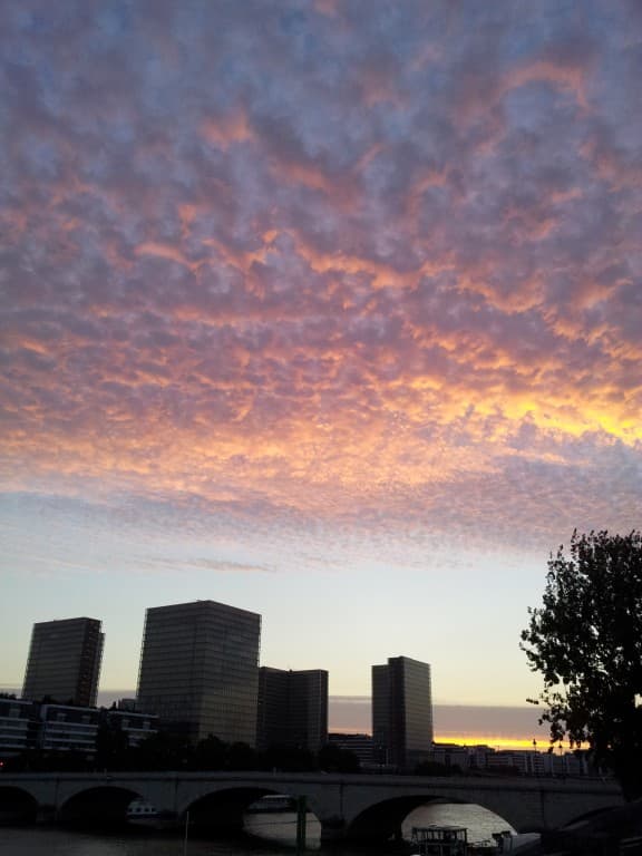 Altocumulus