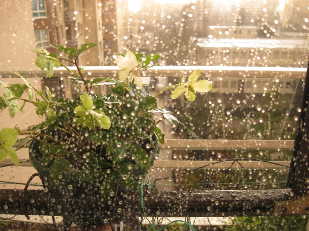 Après la pluie