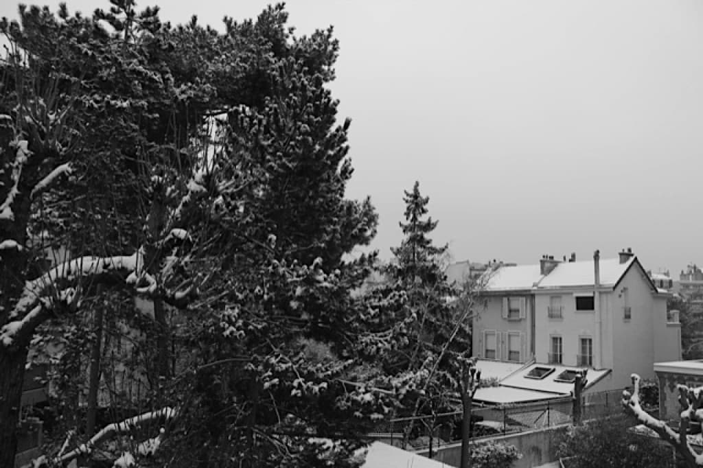 Arbres et maisons