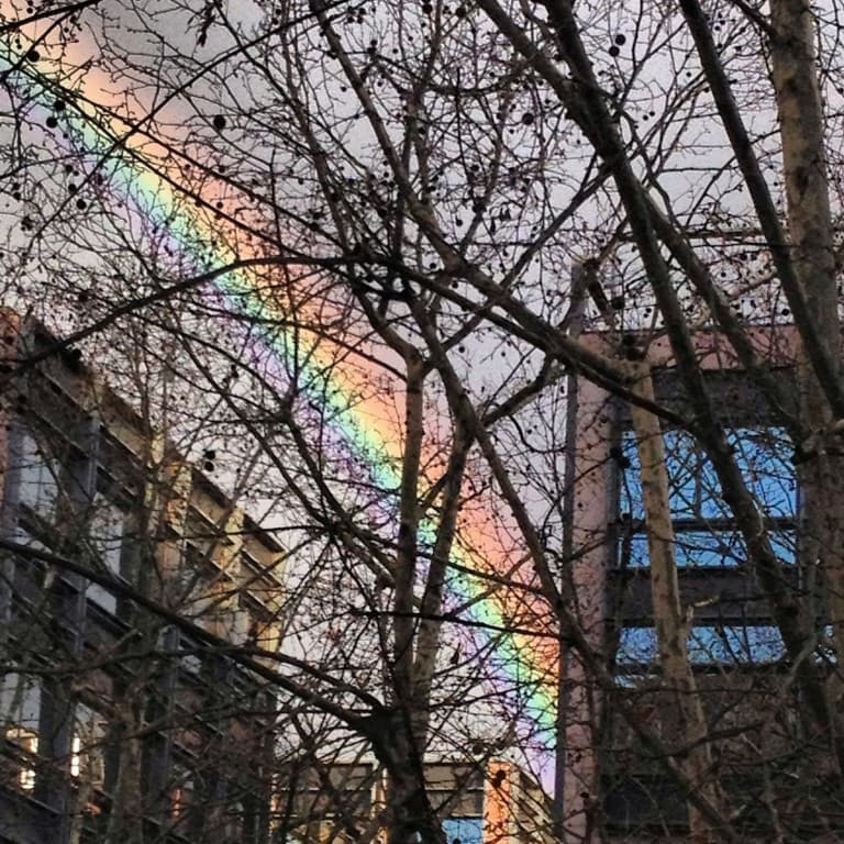 Arc en ciel