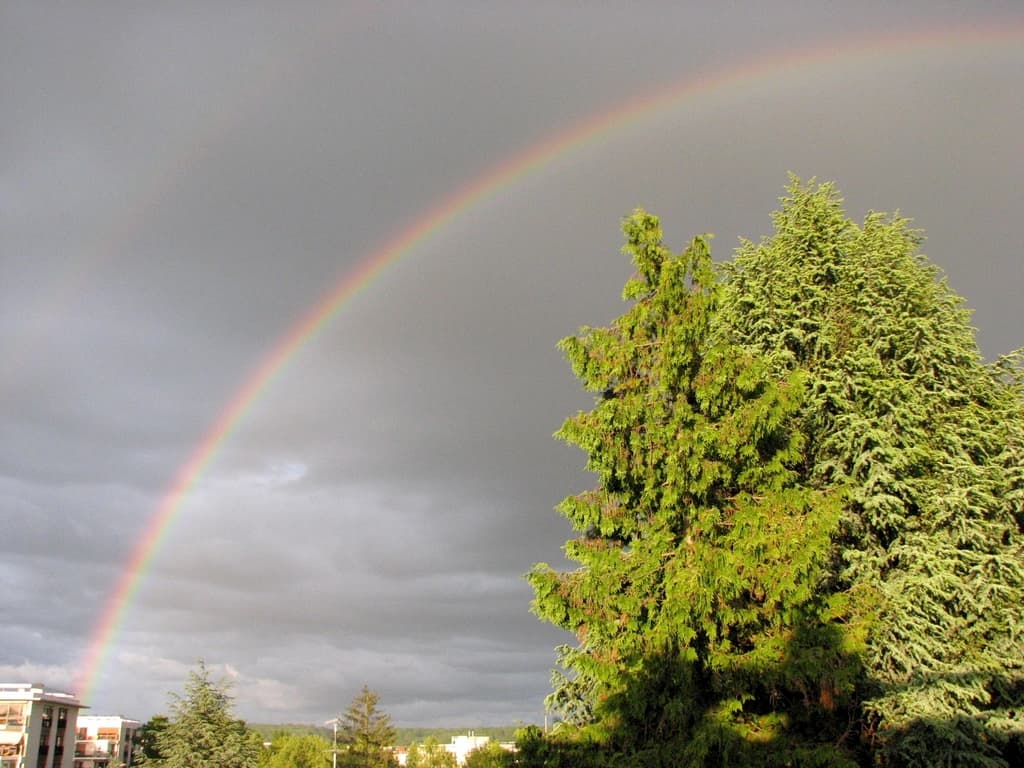 Arc en ciel double