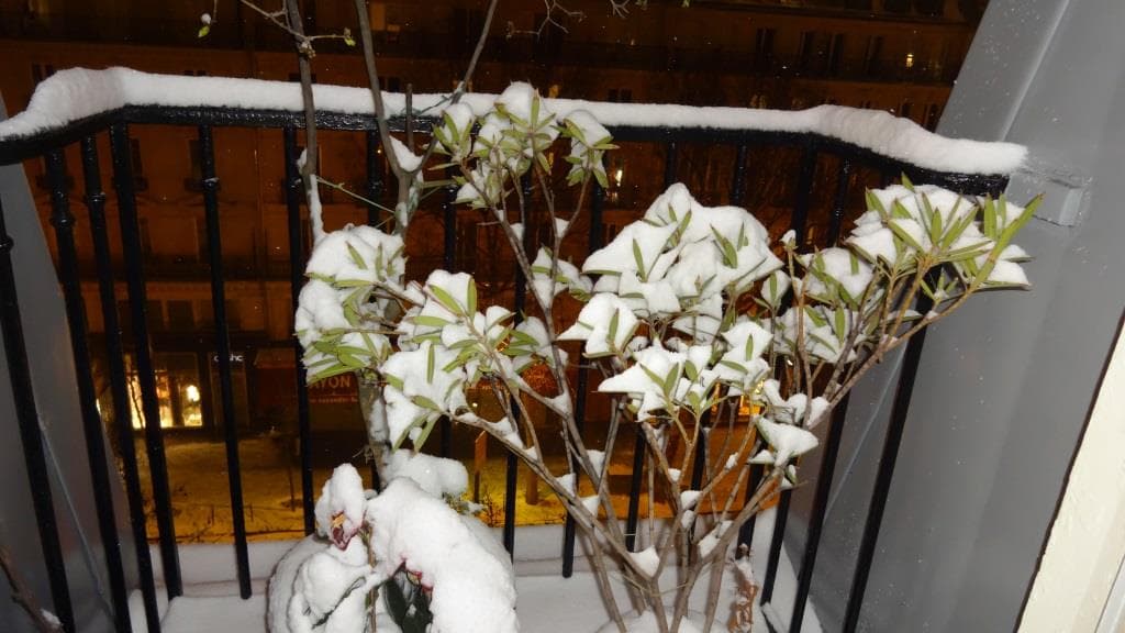 Balcon