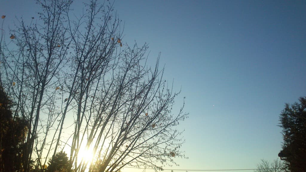 belle fin de journee