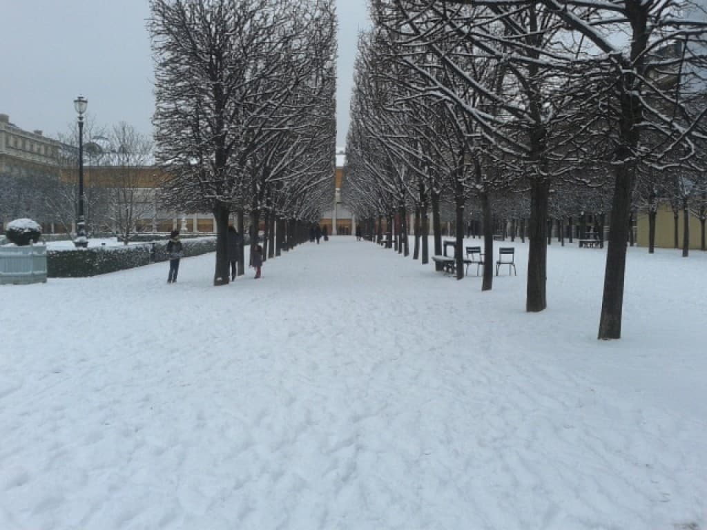 belle neige pas encore foulée