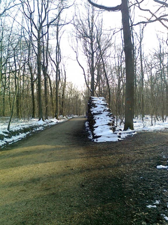 bois de verrieres 
