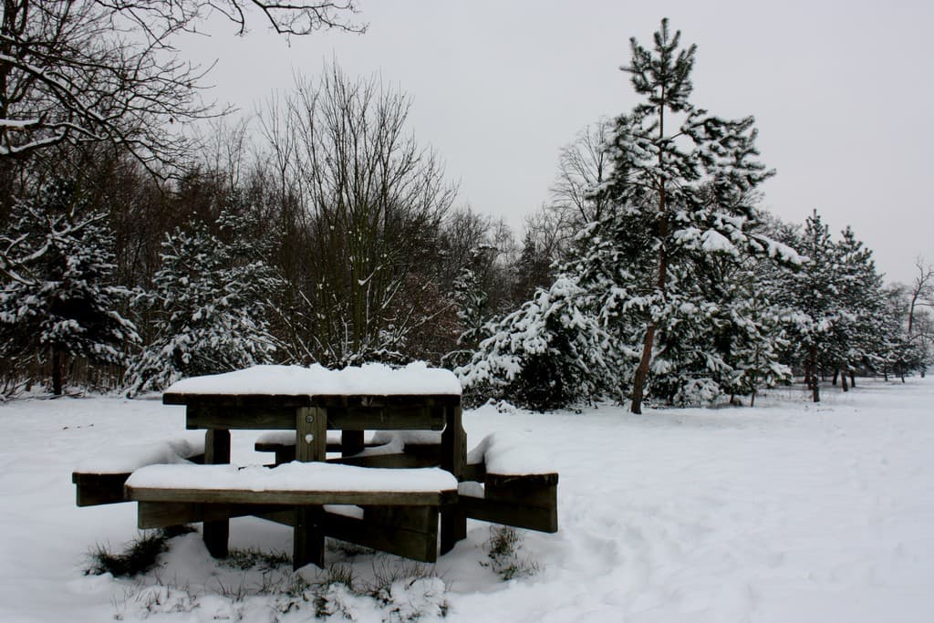 Bois de Vincennes sous la neige