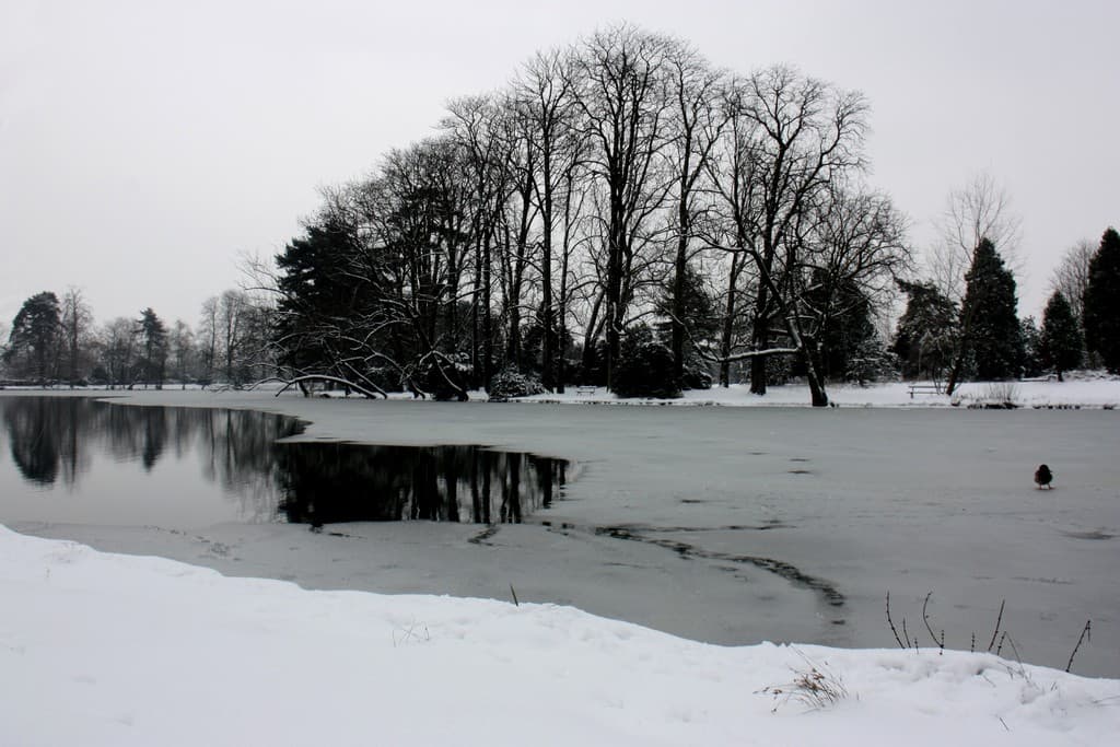 Bois de Vincennes sous la neige