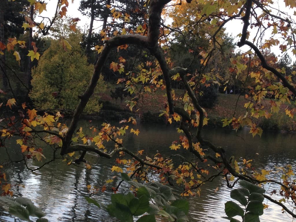 Boulogne en automne