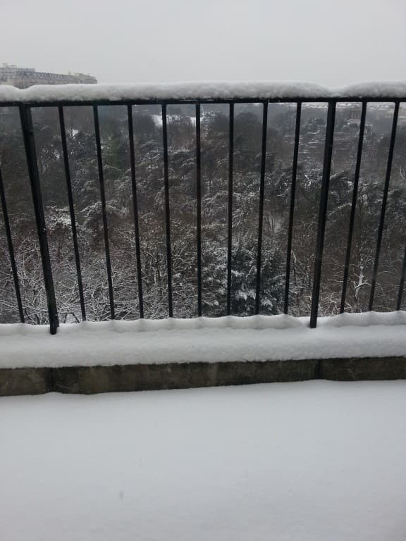 Buttes chaumont sous la neige