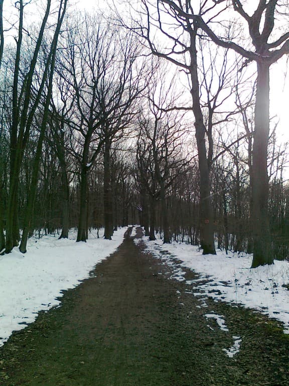 c'est beau l'hiver