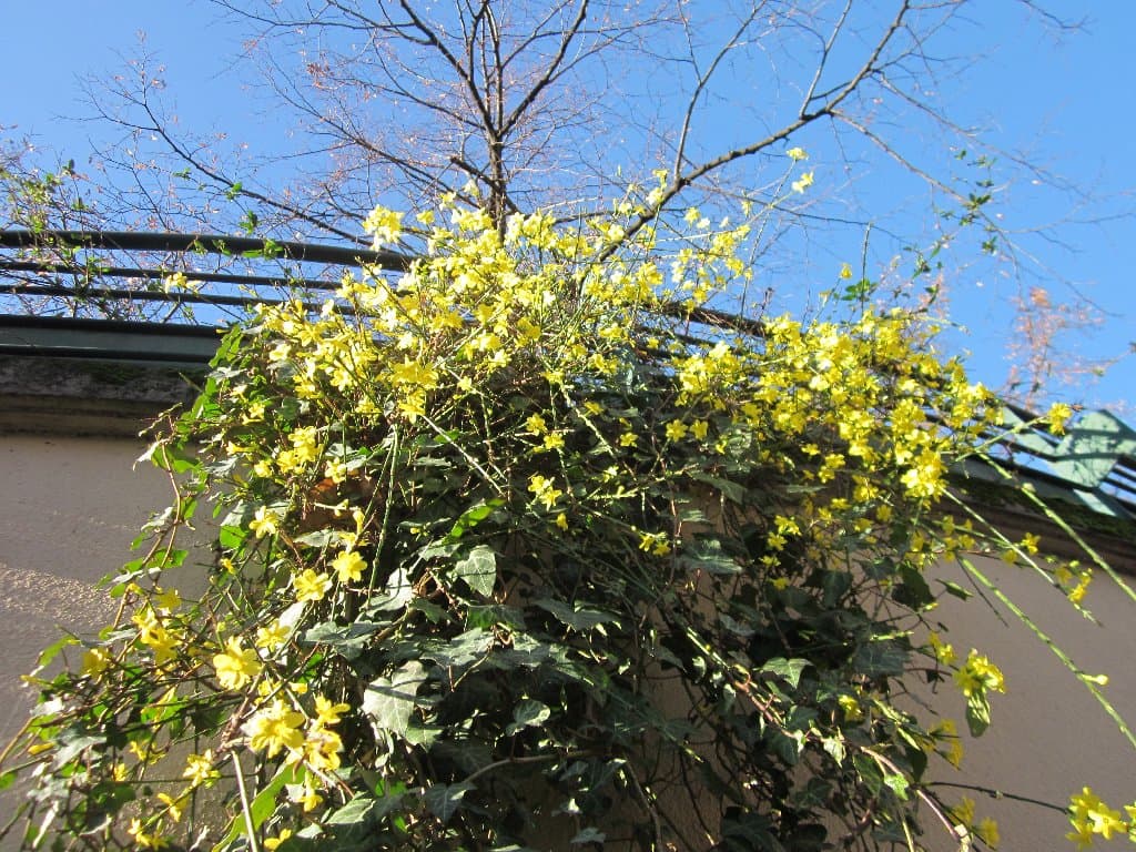 C'est le printemps !