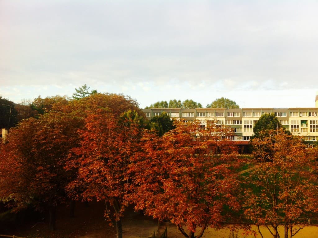 Calme journée d'automne