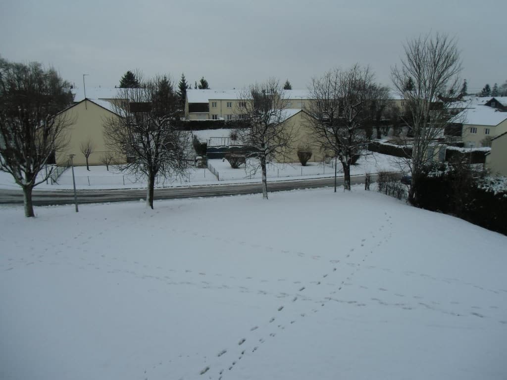 Ce matin à 11h