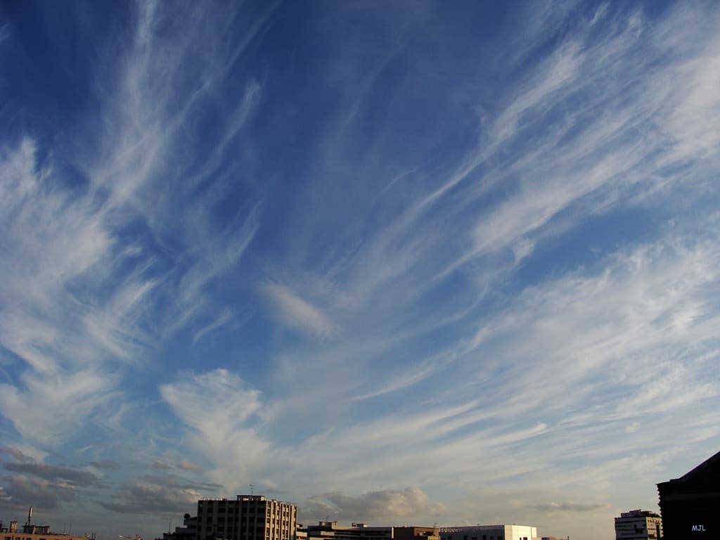 Cirrus échevelés (MJL)