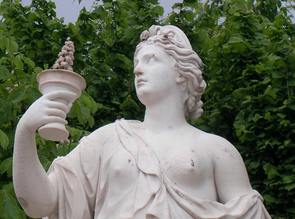 Coupe de Marronnier