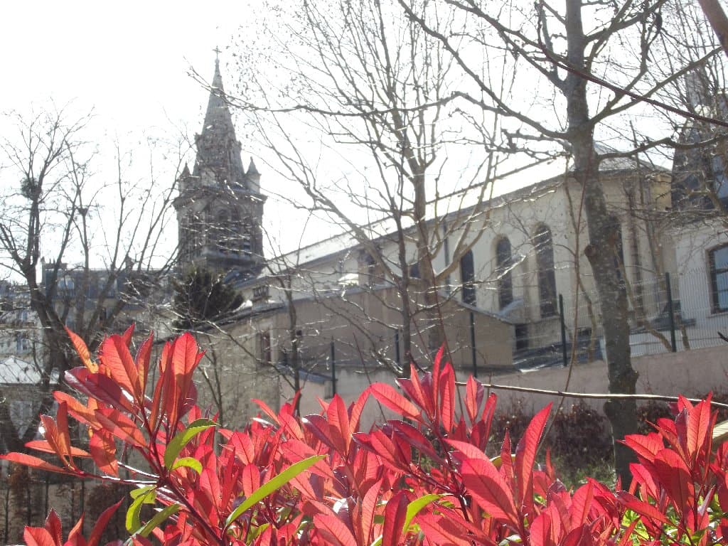 Des feuilles et des branches