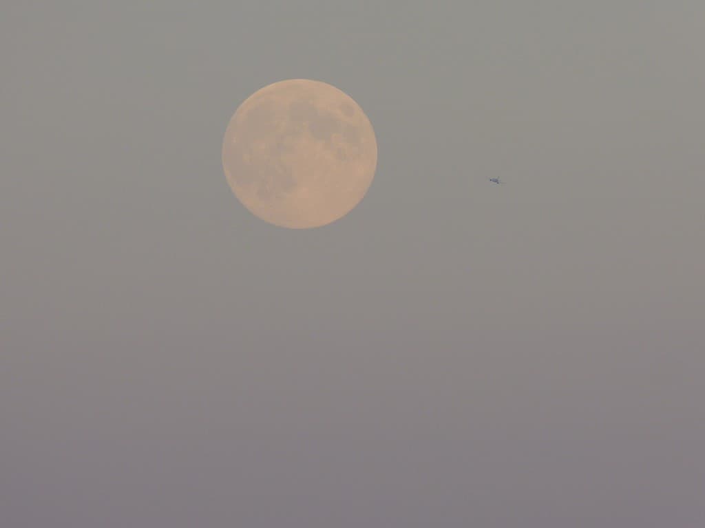 Fly me to the moon