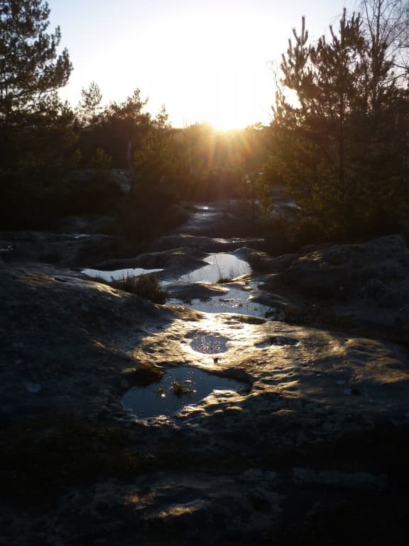 FORET DE FONTAINEBLEAU
