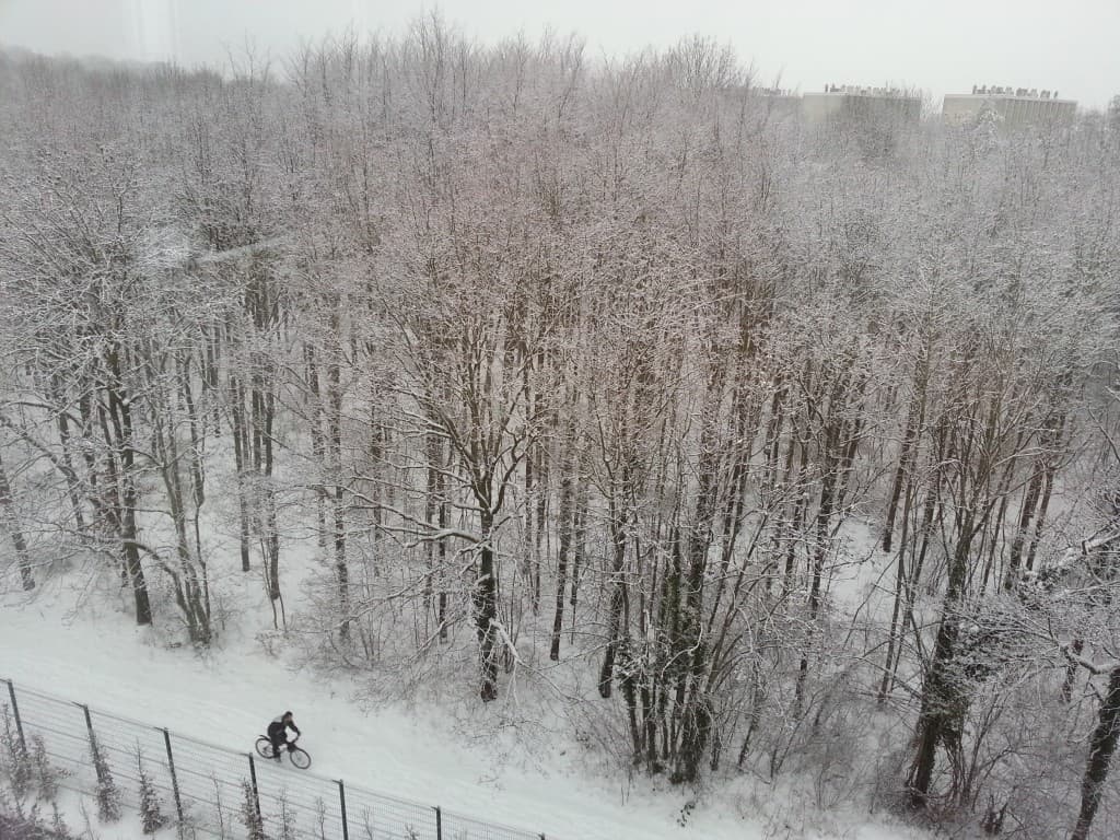 Foret de Meudon ce matin 