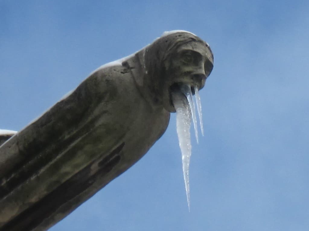 Gargouille à Notre Dame de Paris