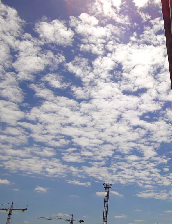 grues vers les nuages
