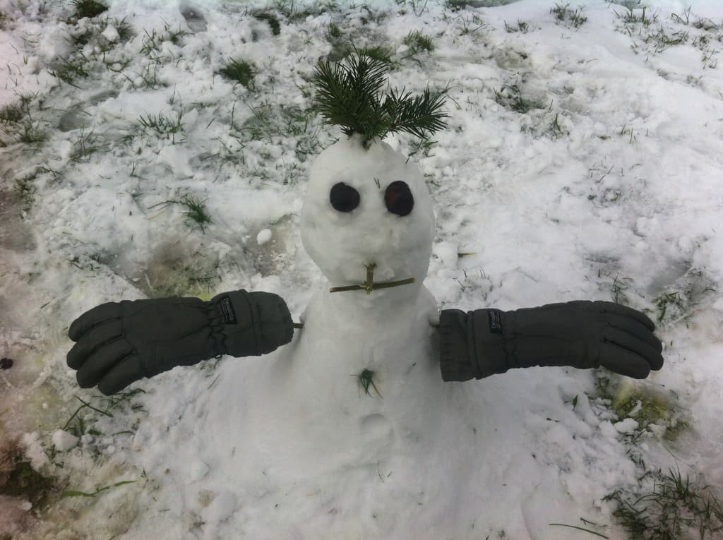 Invité de l'hiver
