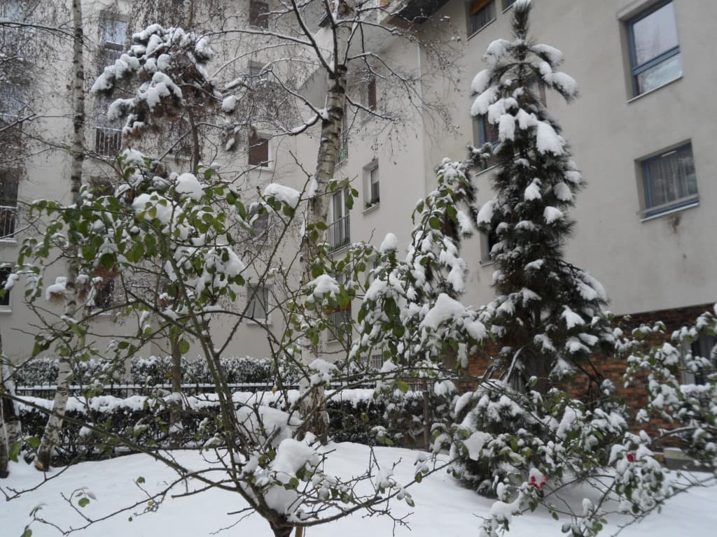 jardin d'hiver