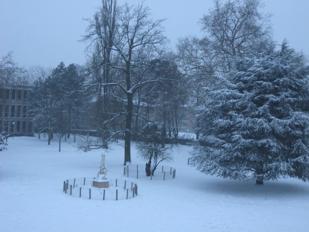 Jardin de la mairie à 08h30