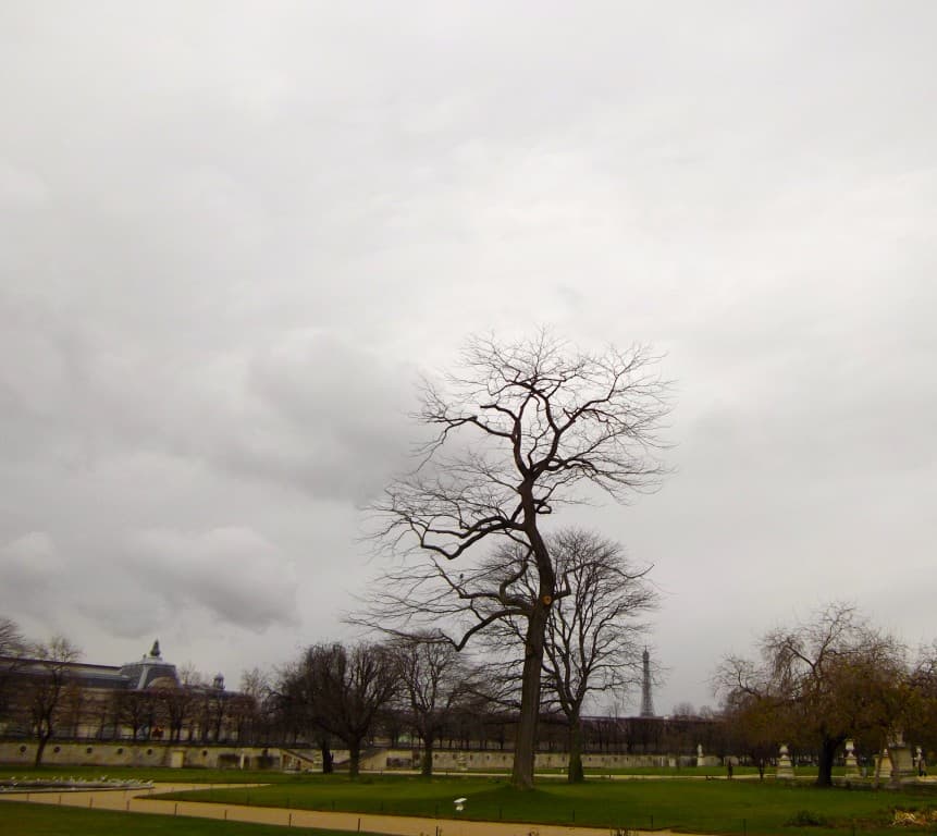 jardin des Tuileries fin 2013