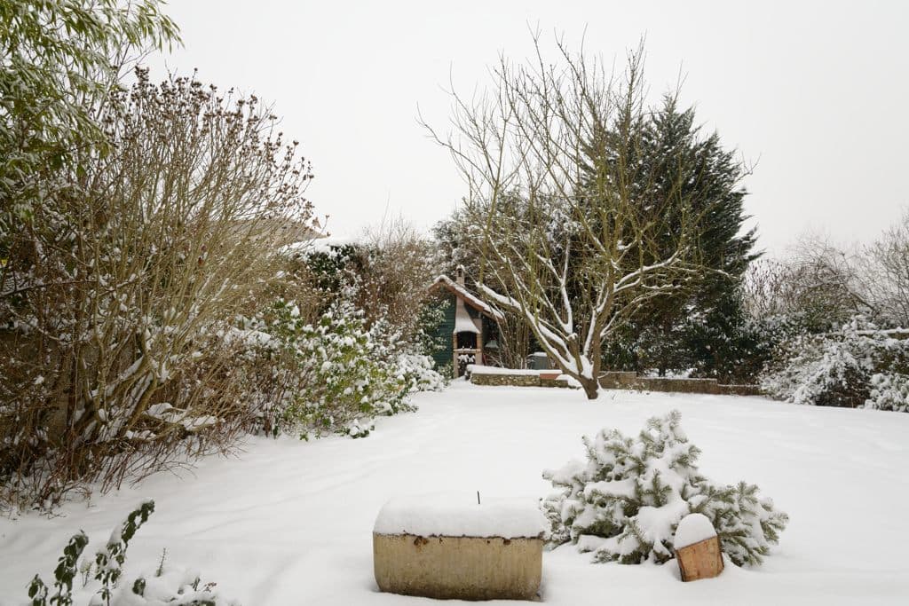 jardin enneigé