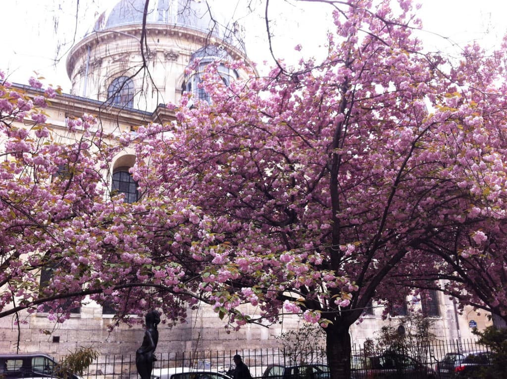 Jardin Pierné au printemps
