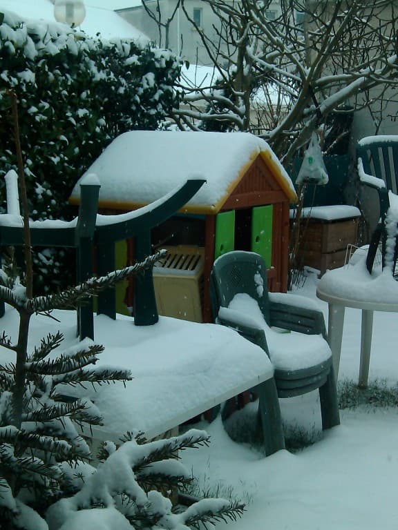 jardin sous la neige