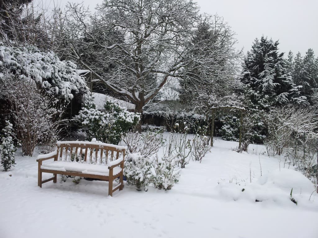 Jardin sous la neige