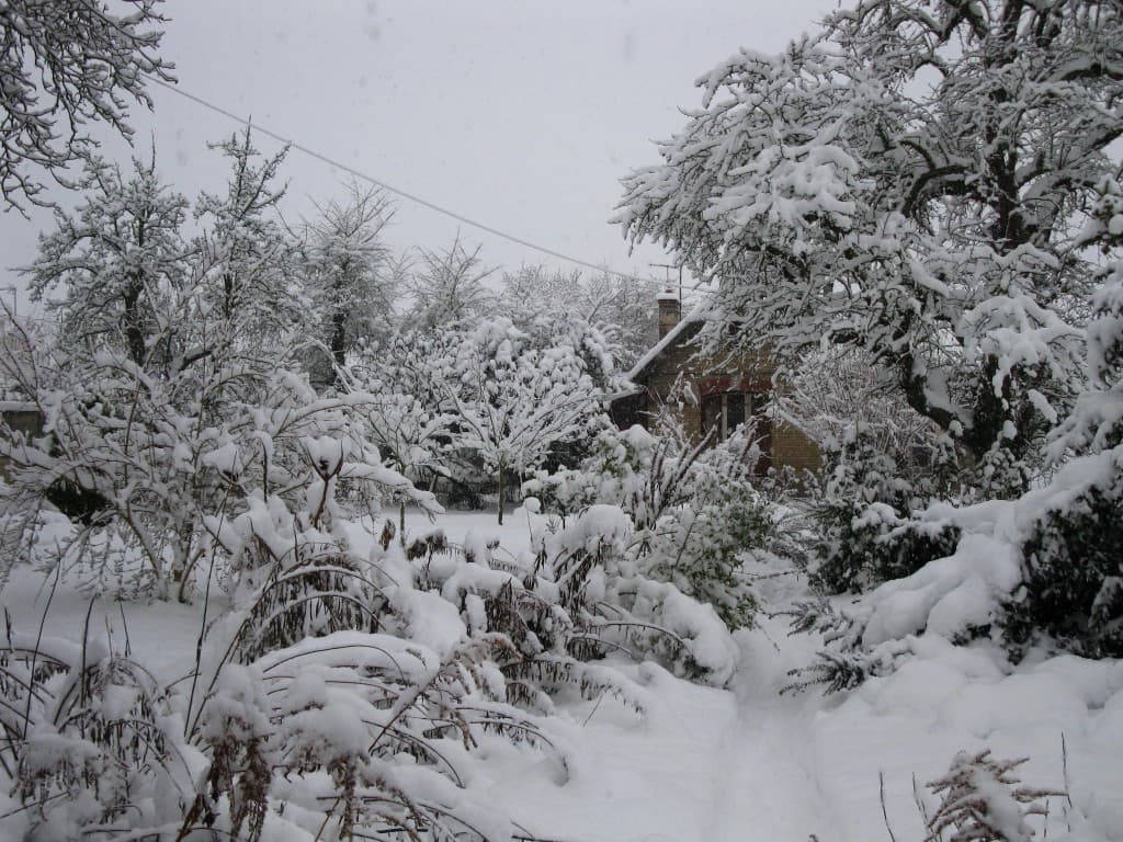 Jardin sous la neige