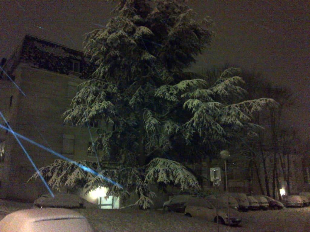 Jolie sapin