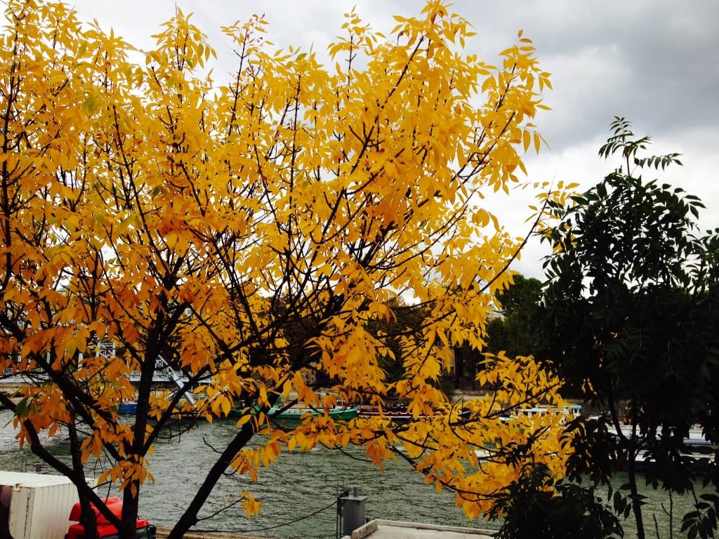 L'automne arrive