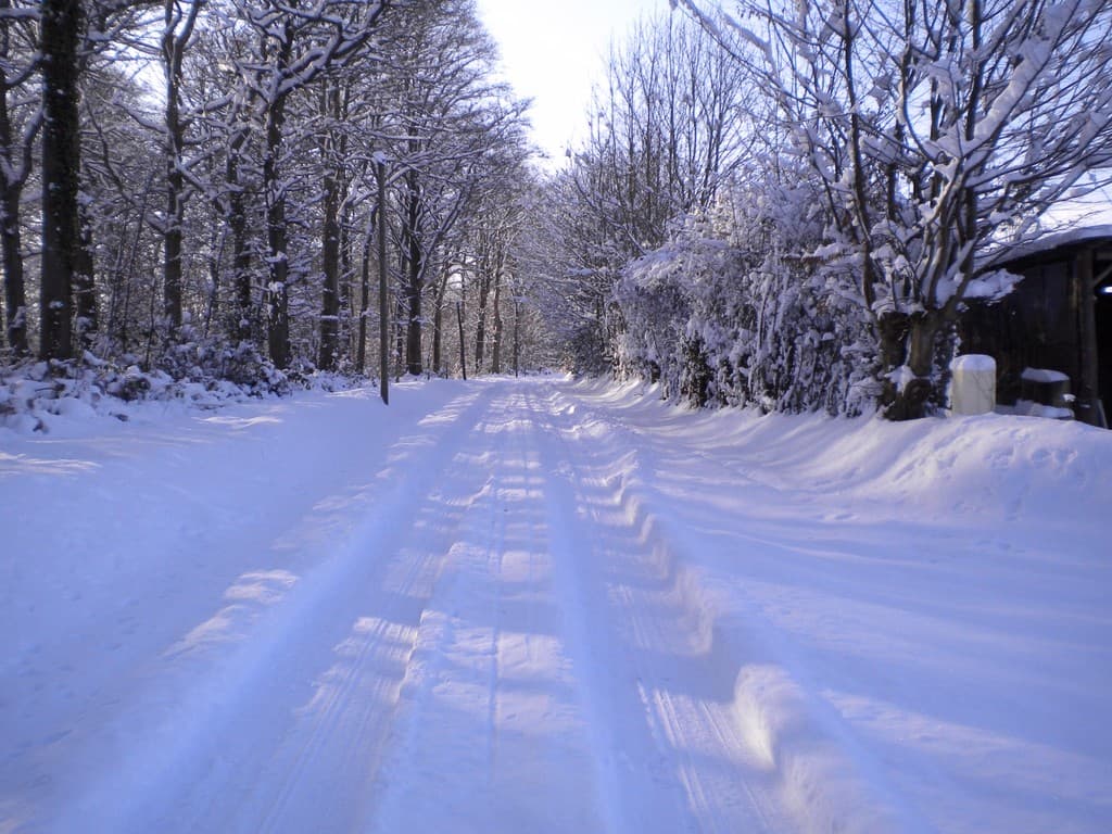 La route départementale  D38