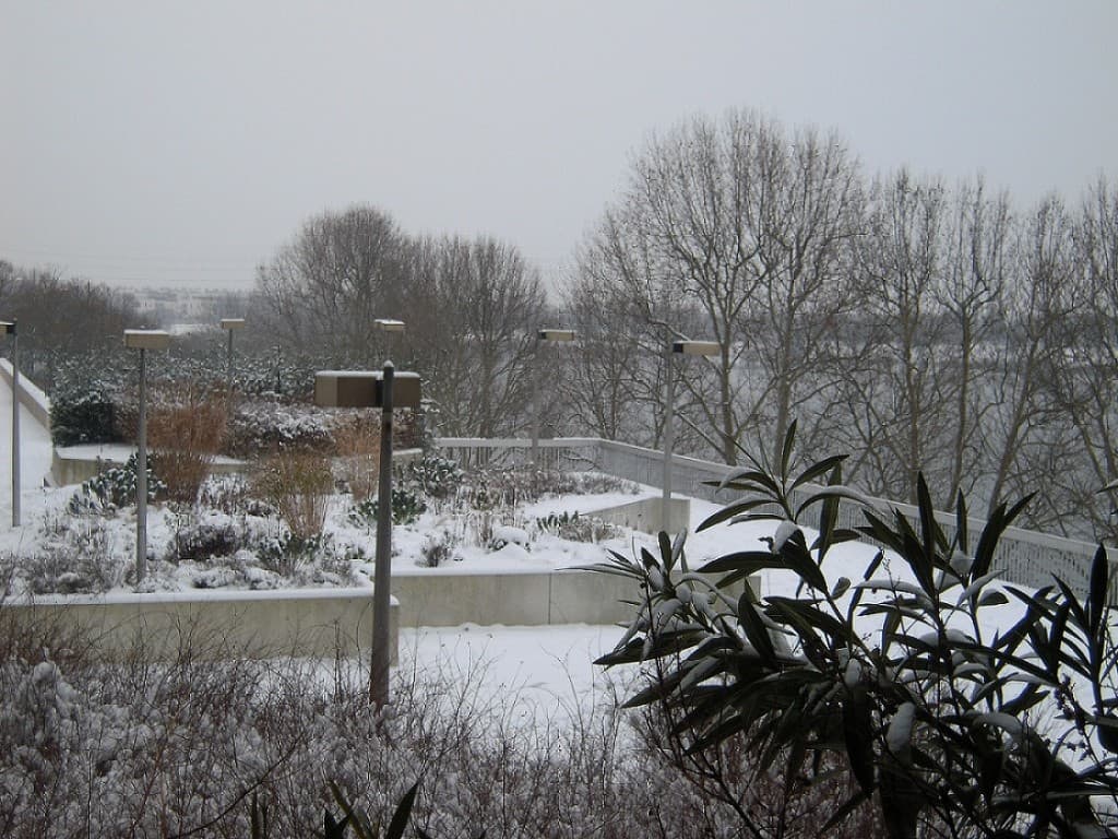 Lac de Créteil