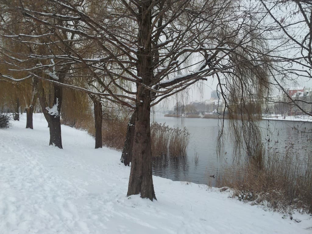 Lac de Créteil
