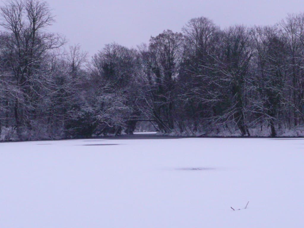 Lac des Minimes gelé