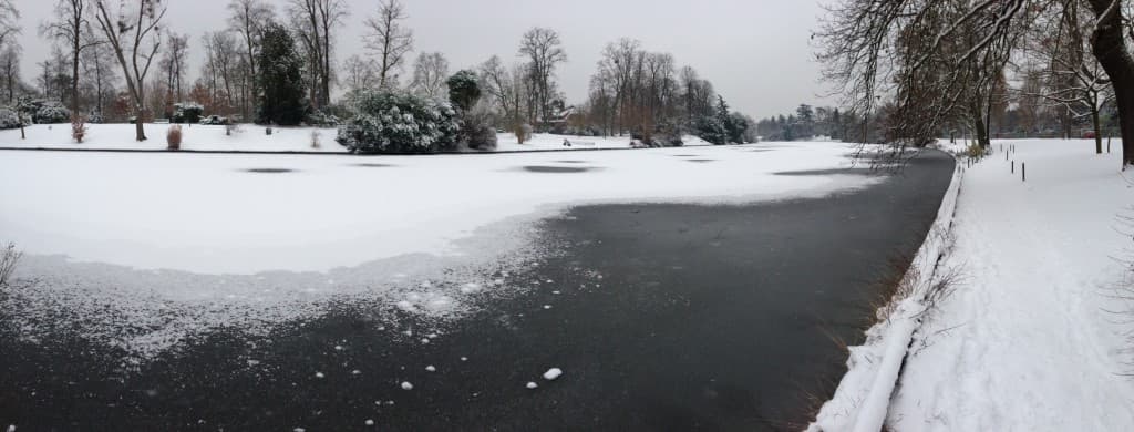 Lac du bois de boulogne