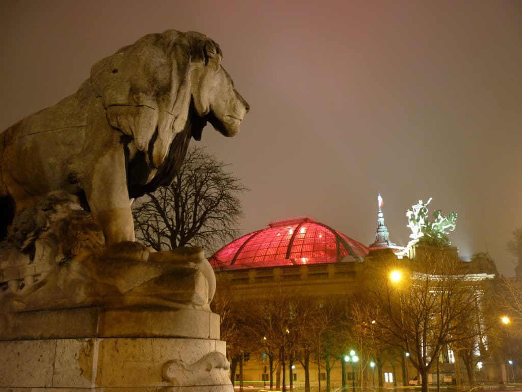LE GRAND PALAIS EN HABIT DE FETE