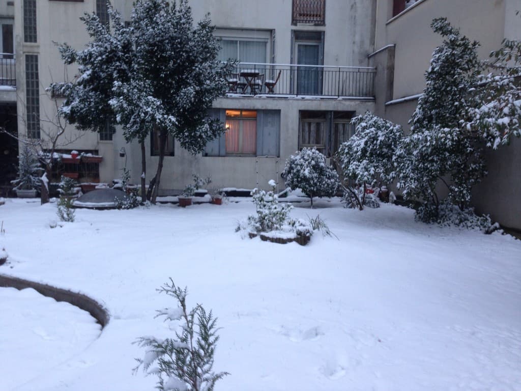 Le jardin de la copro