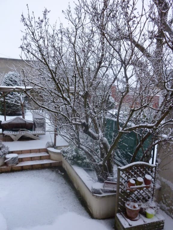 Le jardin sous la neige