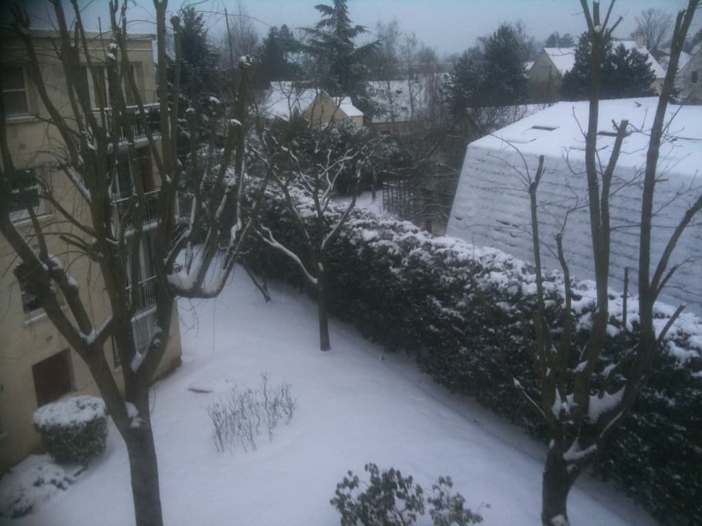 Le jardin sous la neige
